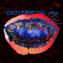 Animal Collective | Centipede Hz.